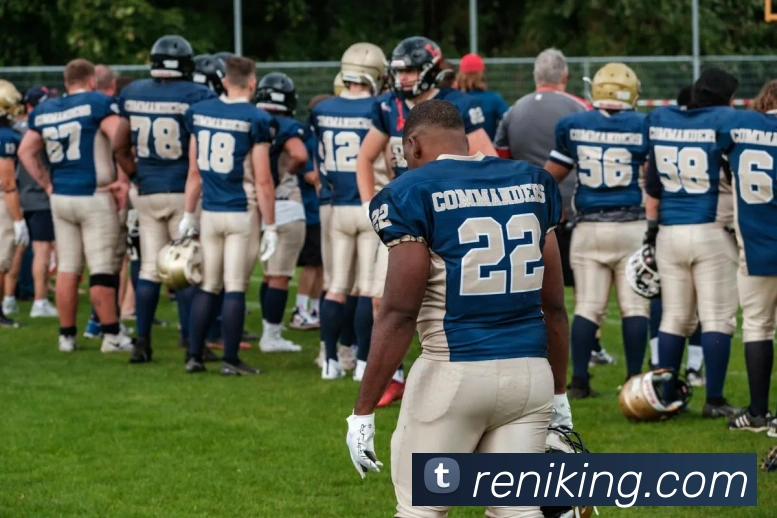 奖项证书